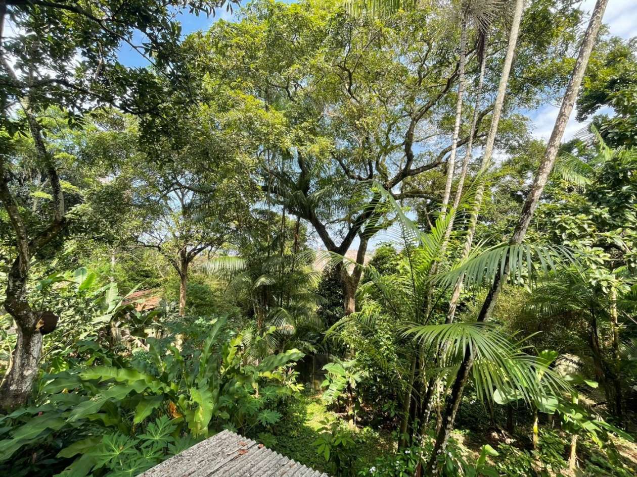 Terreno, 5200 m² - Foto 2