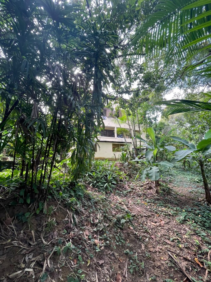 Terreno, 5200 m² - Foto 4