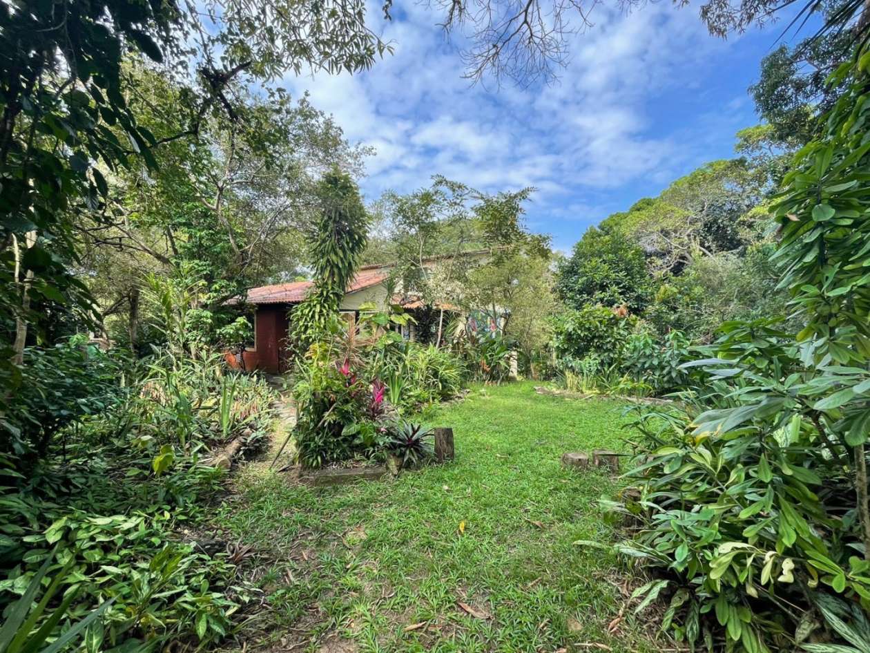 Terreno, 5200 m² - Foto 9