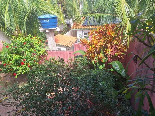 Casa, 6 quartos, 284 m² - Foto 41